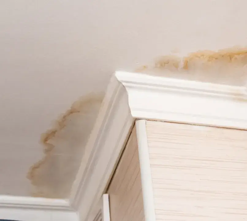 Ceiling with brown water stains indicating a roof leak and moisture damage.