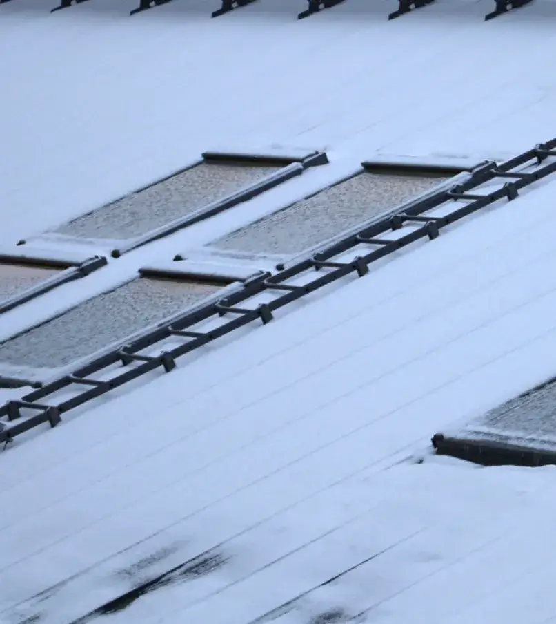 Snow-covered metal roof with skylights and a safety ladder.